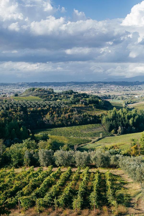Agriturismo Bellavista Сан-Мініато Екстер'єр фото